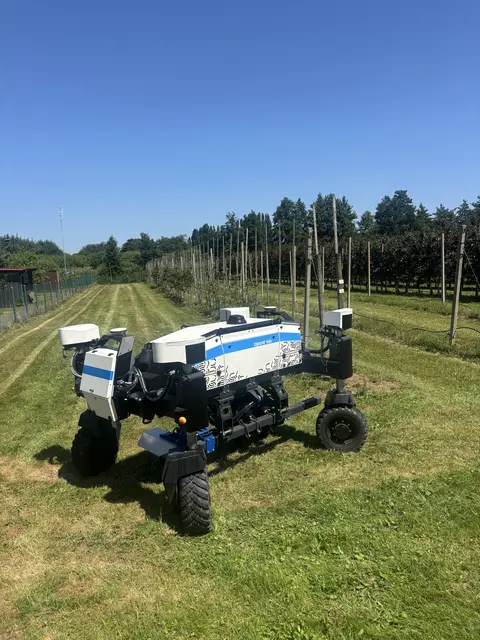 Der mobile Roboter Tipard 1520 kann mit verschiedenen Werkzeugen und Sensoren ausgestattet werden. Bei der Blüten- und Fruchtausdünnung entfernt sein Roboterarm gezielt einzelne Blüten oder kleine Früchte. So können später größere und gleichmäßiger entwickelte Äpfel heranwachsen. | Foto: sts