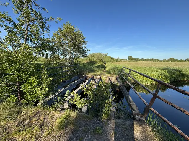 Das überwucherte Brückengestell war lange Zeit der Auslöser eines Dauerstreits zwischen Stadt und Spaziergängern – irgendwann entschied sich die Stadt die Brücke sich selbst zu überlassen | Foto: pau
