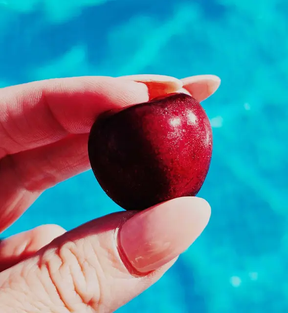 Die ersten Kirschen im Alten Land sind reif - perfekt zum Genießen am Pool | Foto: Juliett Schinner