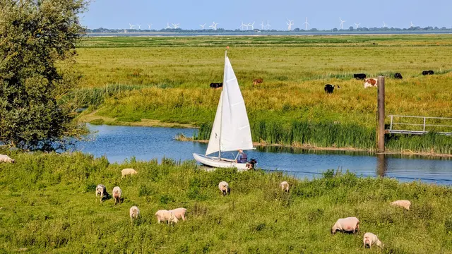Idylle am Außendeich bei Freiburg: Ein Spaziergang an der Elbe in Nordkehdingen ist trotz der Temperatueren ganz angenehmen. Dort weht immer eine leichte Brise, die für Erfrischung sorgt | Foto: jd