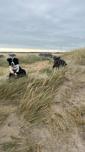 Happy und Ylvie am Strand | Foto: R. Brunnert