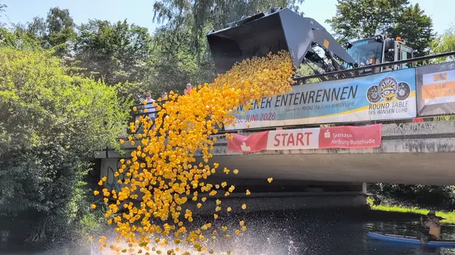 Der Start: rekordverdächtige 5470 Enten gehen in der Luhe baden | Foto: Jan Filter