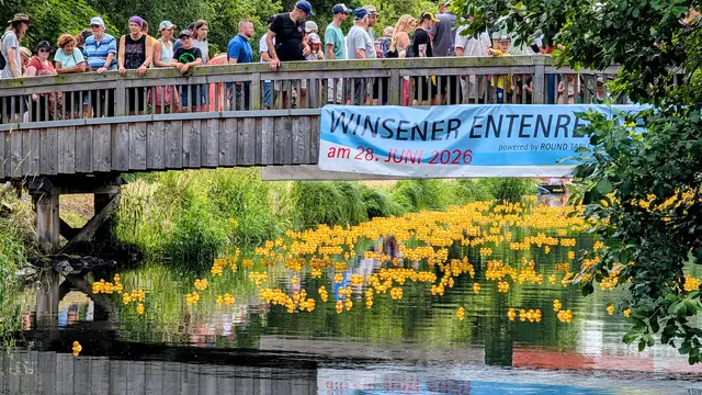 An der Brücke liegt eine Ente bereits klar vorn | Foto: Jan Filter