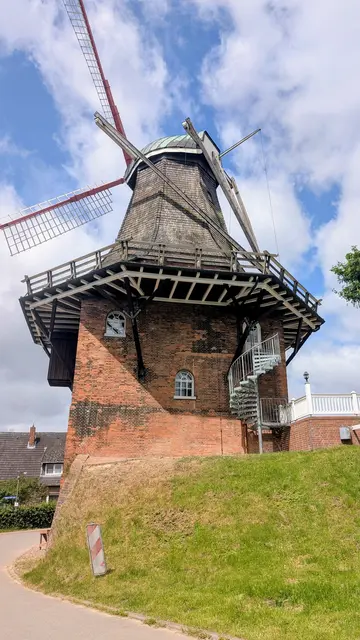 Die Mühle steht direkt am alten Elbdeich | Foto: jd