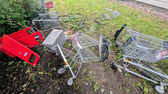 Typischer Fall von Vandalismus in Stade: Hier wurden mutwillig Mülleimer und Einkaufswagen zerstört | Foto: jd