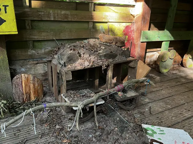 Vandalismusschäden beim AWO-Waldkindergarten in Horneburg | Foto: AWO