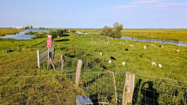 Die Nordkehdinger Idylle trügt: Hier ereigneten sich die Wolfsrisse | Foto: jd