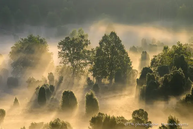 Der Totengrund "Im Licht der Lüneburger Heide" | Foto: DK photographie, Dennis Karjettea 