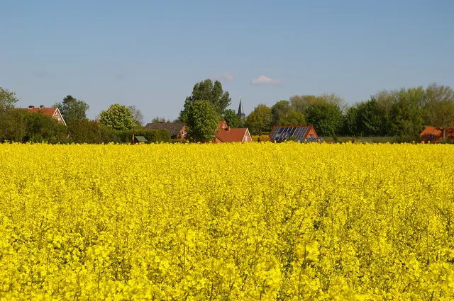 Die Dorfregion Freiburg an der Elbe wird auch gefördert | Foto: sb