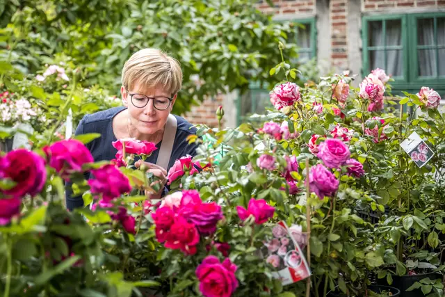 Am 19. Juli erblüht das Museumsgelände am Kiekeberg | Foto: FLMK