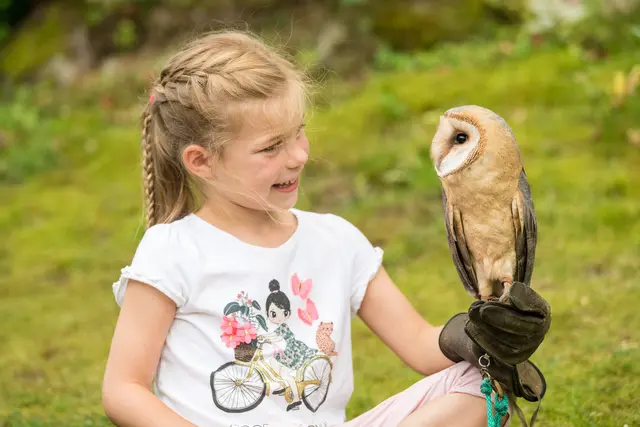 Strahlende Gesichter sind beim „Juniorfalkner Spezial - Das Geheimnis der Eulen“ garantiert | Foto: Wildpark