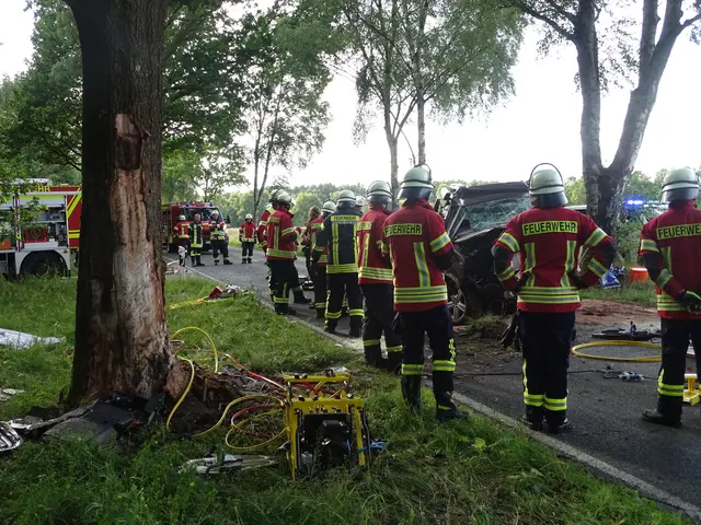 Einsatzstelle zwischen Undeloh und Sahrendorf, Kreisstraße 27 | Foto: Freiwillige Feuerwehr SG Hanstedt 