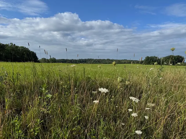 Der Solarpark in Dibbersen Am Kirchweg wird im „Grün“ eingebettet sein, das blühende Randgrün bleibt erhalten | Foto: Bürger-Solarkraftwerke Rosengarten eG