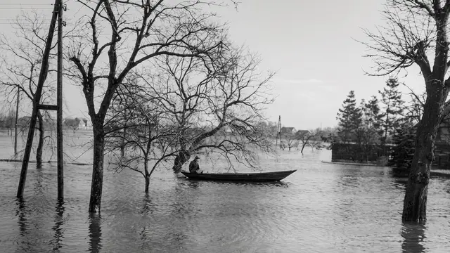 Sturmflut 1962: Ein Boot schippert die Hoopter Straße entlang | Foto: Archiv Peter Homann