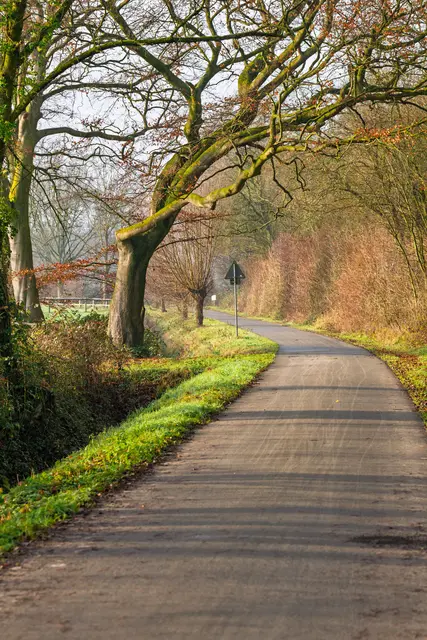 Die Struktur der Landwege soll unterstützt werden | Foto: Strannik Sk