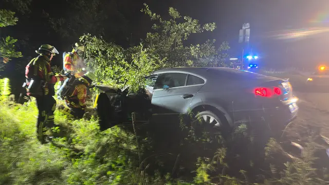 Ein Birke wurde umgefahren | Foto: Thomas Müller, FF Maschen