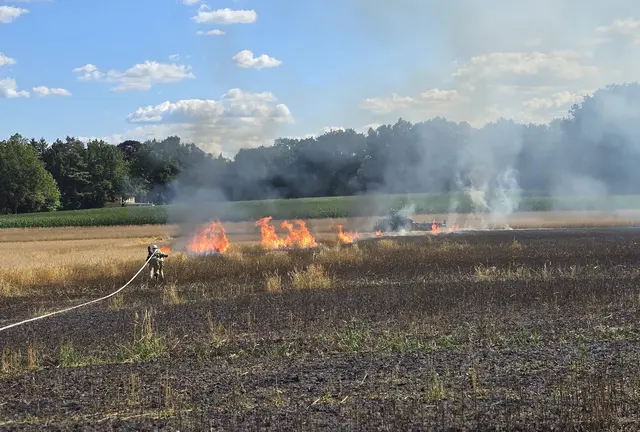 Schwarze Erde, wo das Feuer zuschlug | Foto: Pressestelle Feuerwehr Seevetal
