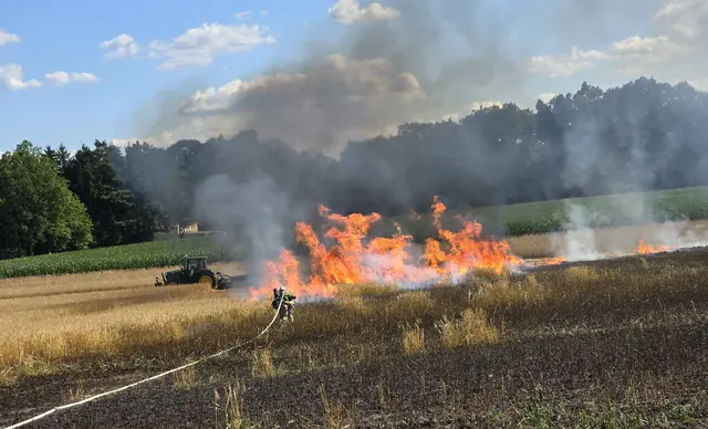 In Stelle brannte ein Getreidefeld. Die Feuerwehren aus Stelle und Maschen löschten den Brand ab. Hilfe leisteten ortsansässige Landwirte, die mit ihren Fahrzeuge Schneisen schlugen | Foto: Pressestelle Feuerwehr Seevetal