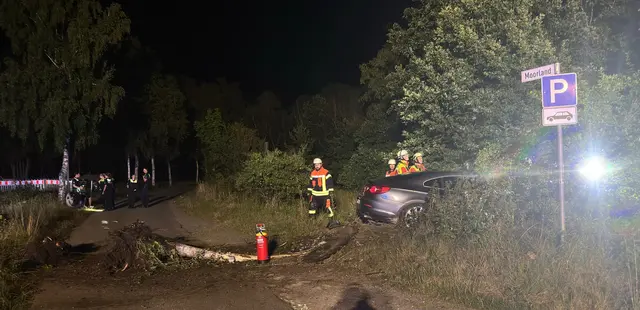  In Maschen kam ein PKW von der Straße ab und fällte einen Baum. Die Feuerwehr Maschen sicherte die Unfallstelle und beseitigte den Baum sowie Baumteile vom PKW | Foto: Thomas Müller, FF Maschen