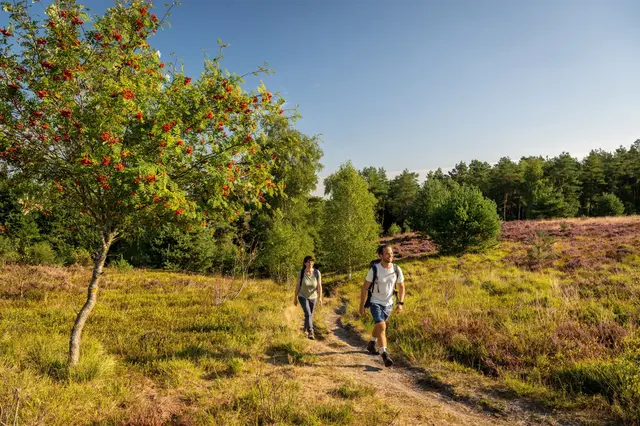 Der Heidschnuckenweg gehört zu den renommiertesten Wanderwegen Deutschlands, die auf den Klimawandel reagieren wollen | Foto: Landkreis Harburg