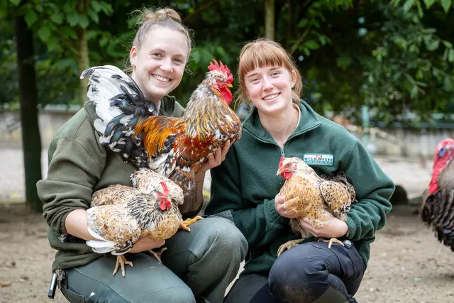 Tiffany Schermer (li.) und Aliya Mittmann genießen nach ihrer erfolgreich abgeschlossenen Ausbildung die schönen Seiten des Tierpfleger-Be�rufs und kuscheln mit ihren Lieblingstieren | Foto: Wildpark/Thomas Ix
