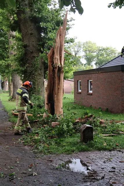 Der Blitzeinschlag an der Moisburger Landstraße in Daensen beschädigte einen Baum erheblich: Einsatzkräfte der Feuerwehr Buxtehude fällten ihn anschließend und räumten die Fahrbahn | Foto: T. Esch/ Feuerwehr Buxtehude