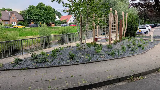 Sieht zwar (noch) ein wenig so aus, ist aber trotzdem kein "Schottergarten": Die "Grüne Insel" direkt an der Luhe in der Mühlenstraße | Foto: Jan Filter