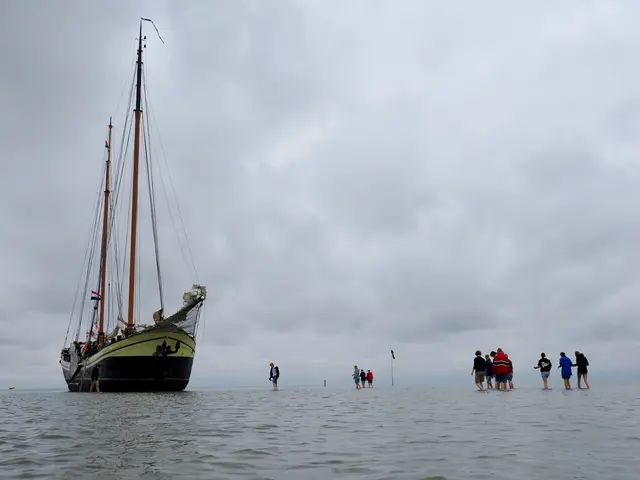 "Landgang" auf einer Sandbank | Foto: Pilz