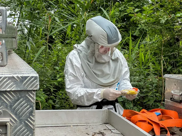 Mitarbeiter der beauftragten Firma Koppermann im Schutzanzug | Foto: Gemeinde Seevetal