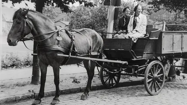 Hiermit wurde Milch transportiert | Foto: Archiv Peter Homann