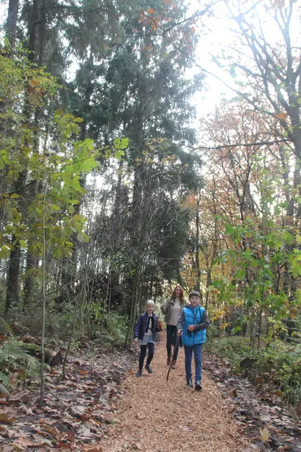 Der Wald bei den Sunder Seen | Foto: Wagner