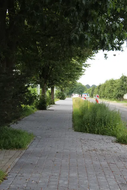 Der erste Abschnitt des neuen Wegs ist mit sogenannten "Rumpelsteinen" gepflastert, der Großteil jedoch asphaltiert | Foto: sb