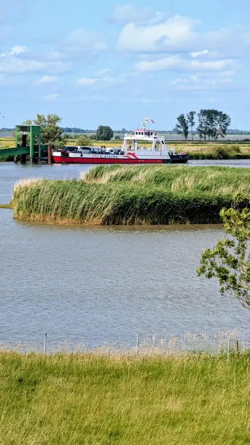 Eine Region zwischen Land und Meer. Mittendrin die Elbfähre | Foto: jd