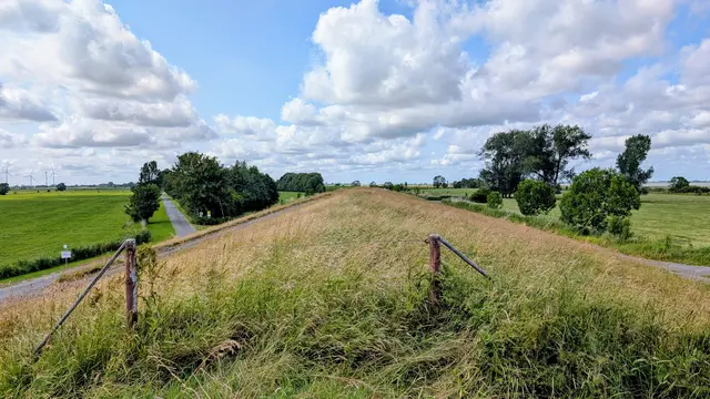Vielleicht wäre es mal wieder Zeit für die blökenden Rasenmäher | Foto: jd