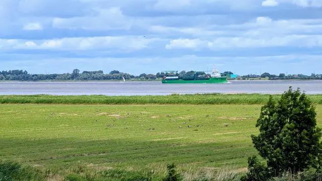 Schiffsverkehr auf der Elbe | Foto: jd