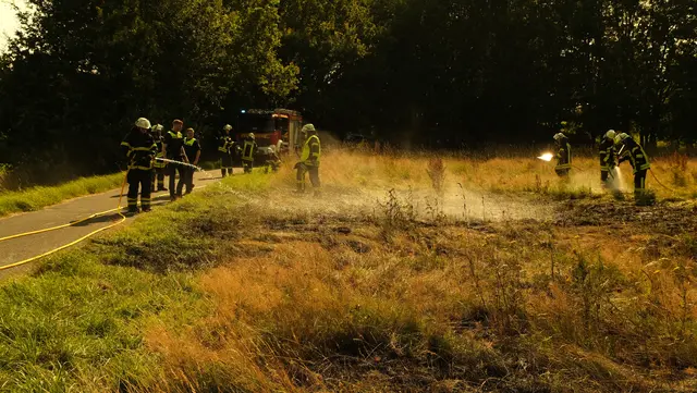 Die Feuerwehr aus Himmelpforten löschte den Vegetationsbrand von 50 Quadratmetern rasch | Foto: Rolf Hillyer-Funke/Feuerwehren SG Oldendorf-Himmelpforten