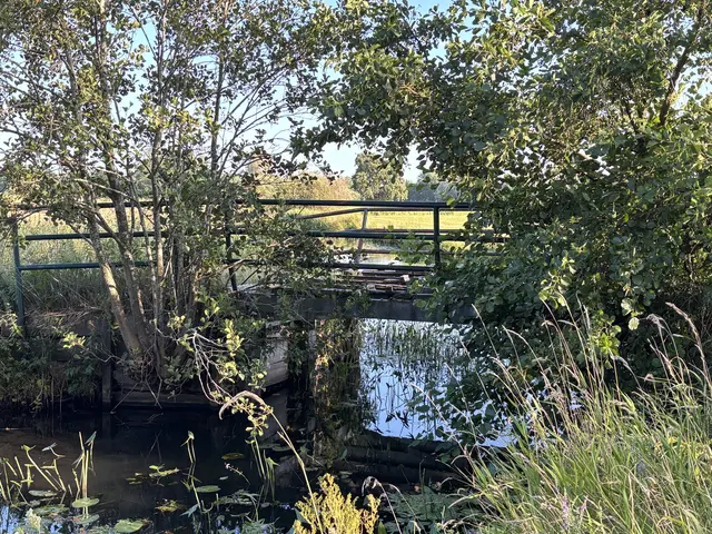 Die alte Brücke ist mittlerweile fast komplett überwuchert | Foto: pau