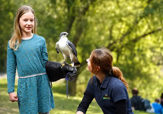 Einmal Falkner sein! Das geht im Wildpark Schwarze Berge | Foto: Wildpark Schwarze Berge