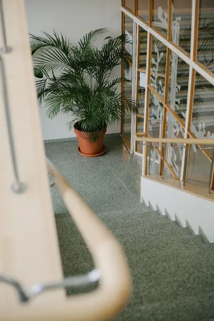 Dürfen große Blumenkübel im Treppen stehen? | Foto: Aliona Zueva