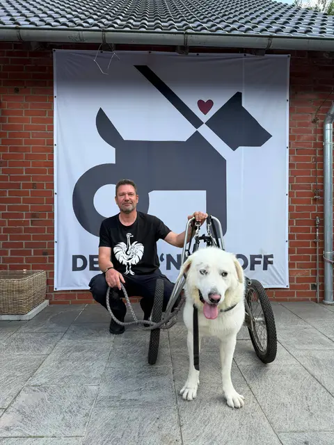 Torsten Adam bei seinem Engagement auf „De Hun‘nenhoff“ mit Rolli-Hund 