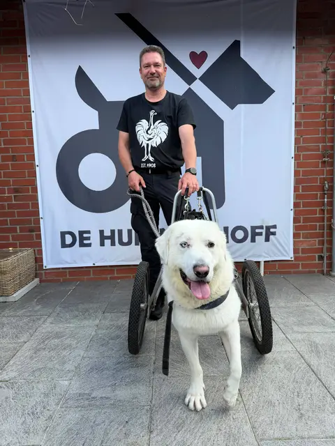 Torsten Adam mit "Knut". Der Herdenschutzhund-Mix wird im Oktober zwei Jahre alt. Seit einem Autounfall ist er gelähmt. In seinem eigenen Rolli flitzt er nun über den Hof. Er liebt Spaziergänge, ist verspielt, aufmerksam und lernfähig | Foto: Adam