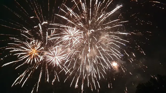 Das Feuerwerk am Freitagabend | Foto:  Anja Gienke