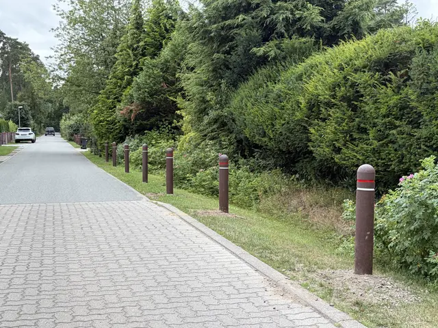 Poller im Seppenser Mühlenweg  | Foto: hg