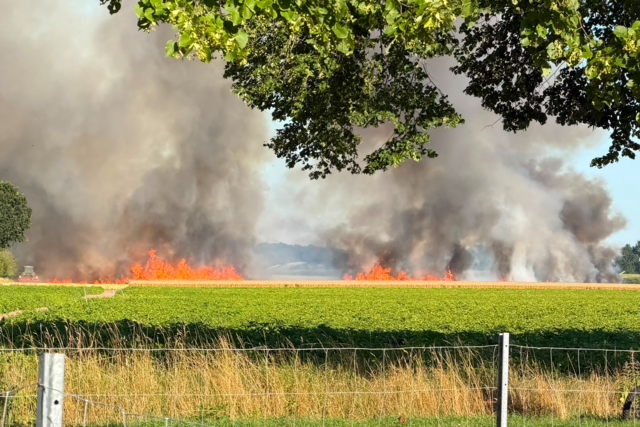 Der Flächenbrand in Beckdorf | Foto: Frank Höper/ Feuerwehren SG Apensen 
