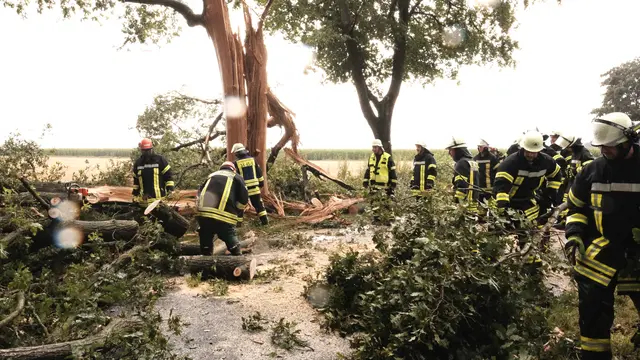 Einsatzkräfte räumen die K4 zwischen Kranenburg und Oldendorf frei | Foto: Rolf Hillyer-Funke/Feuerwehren SG Oldendorf-Himmelpforten