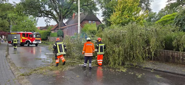 In Salzhausen musste eine auf die Winsener Straße gestürzte Birke von der Feuerwehr beseitigt werden | Foto: FF Salzhausen