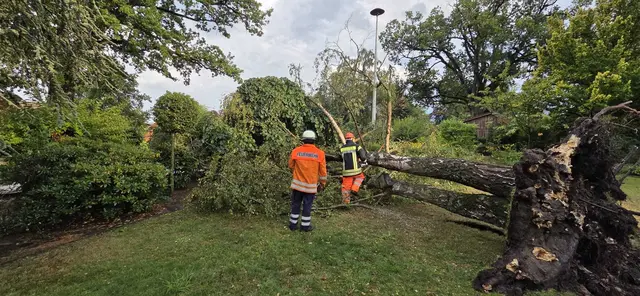 In Salzhausen und in Vierhöfen waren Bäume durch die Sturmböen auf Straßen gestürzt | Foto: FF Salzhausen