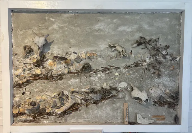 Materialien aus der Natur finden mit Eberhard Schiel ihren Weg auf die Leinwand | Foto: sts