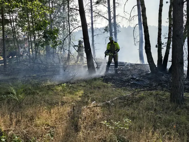 Foto: Pressestelle Feuerwehr Seevetal