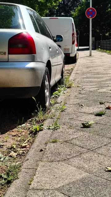 Das Unkraut sprießt. Weil das Fahrzeug nicht bewegt wird, kann hier nicht für Ordnung gesorgt werden | Foto: sb